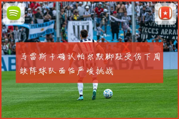 马雷斯卡确认帕尔默脚趾受伤下周缺阵球队面临严峻挑战