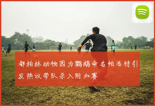 都柏林动物园为鹦鹉命名帕洛特引发热议带队杀入附加赛
