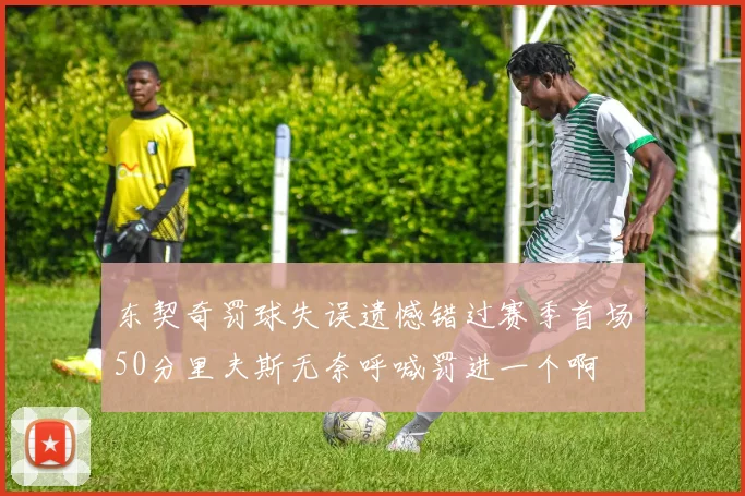 东契奇罚球失误遗憾错过赛季首场50分里夫斯无奈呼喊罚进一个啊