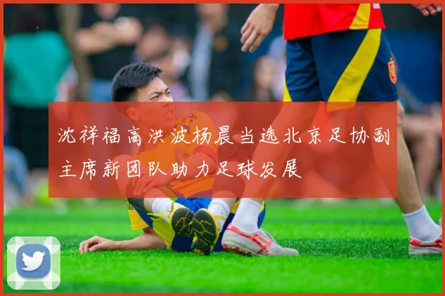 沈祥福高洪波杨晨当选北京足协副主席新团队助力足球发展