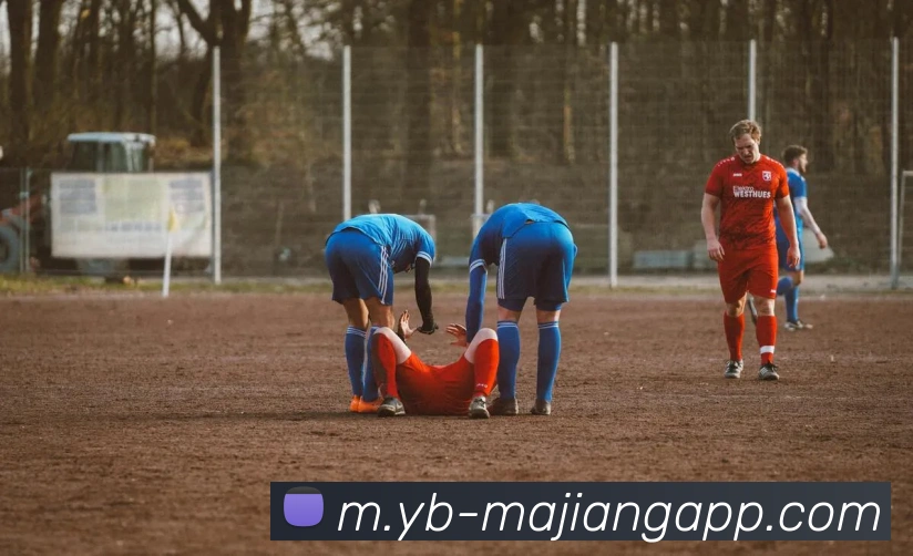 多媒体互动体验